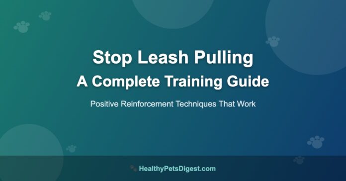 Dog leash pulling training guide